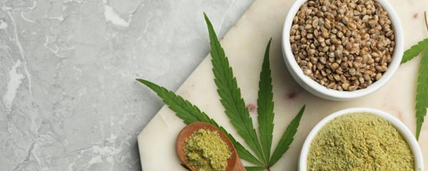 graine cannabis autofloraison